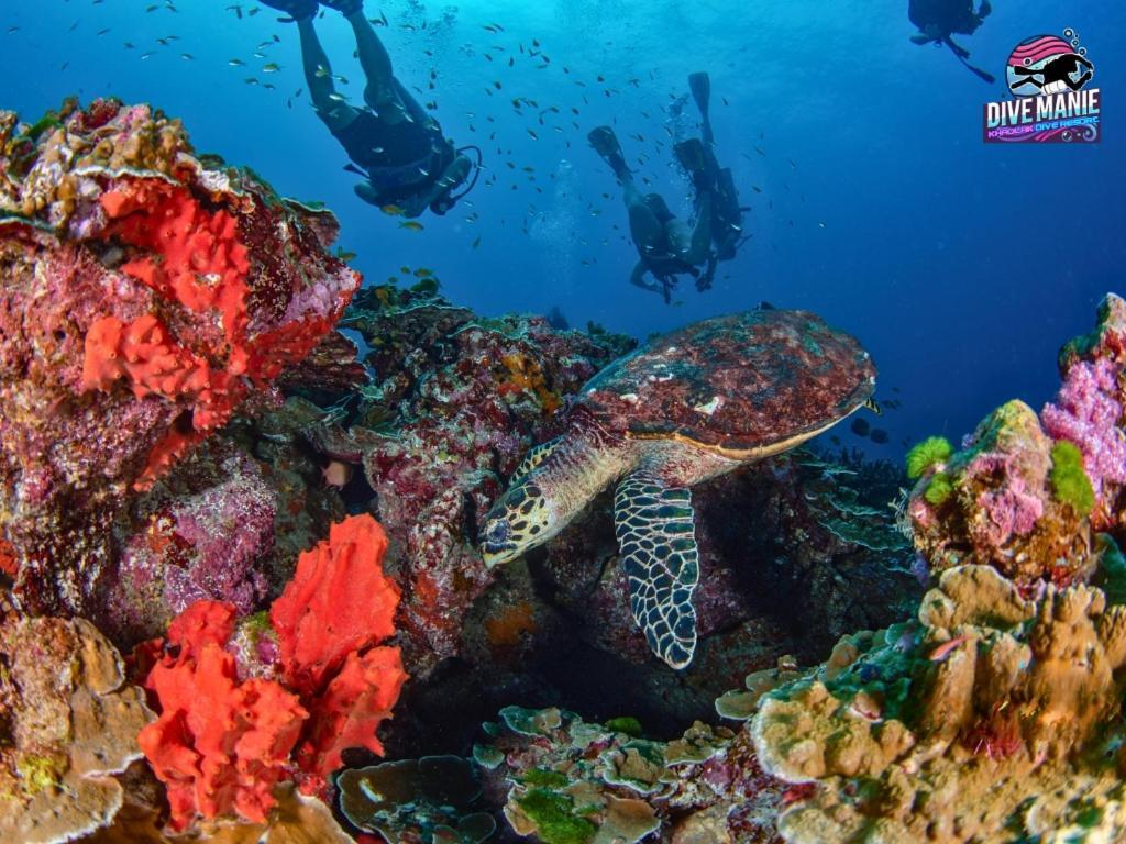 Khaolak Dive Resort Khao Lak Exteriér fotografie
