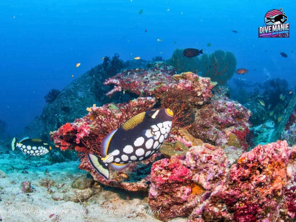 Khaolak Dive Resort Khao Lak Exteriér fotografie