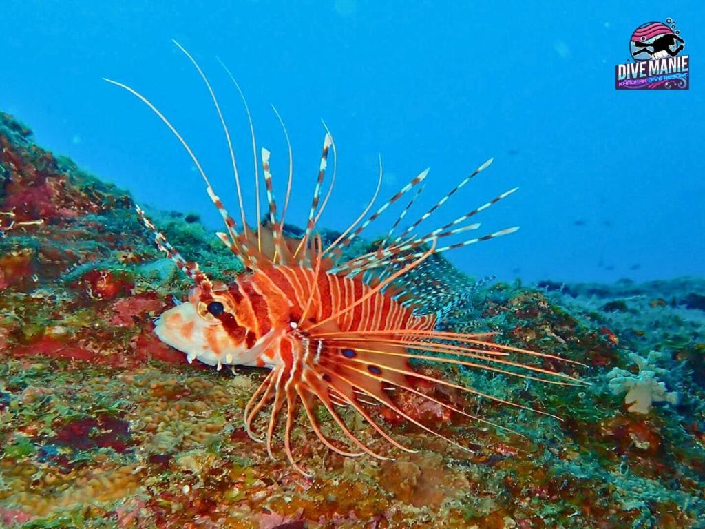 Khaolak Dive Resort Khao Lak Exteriér fotografie