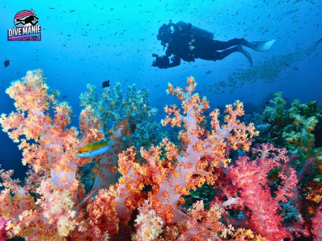 Khaolak Dive Resort Khao Lak Exteriér fotografie