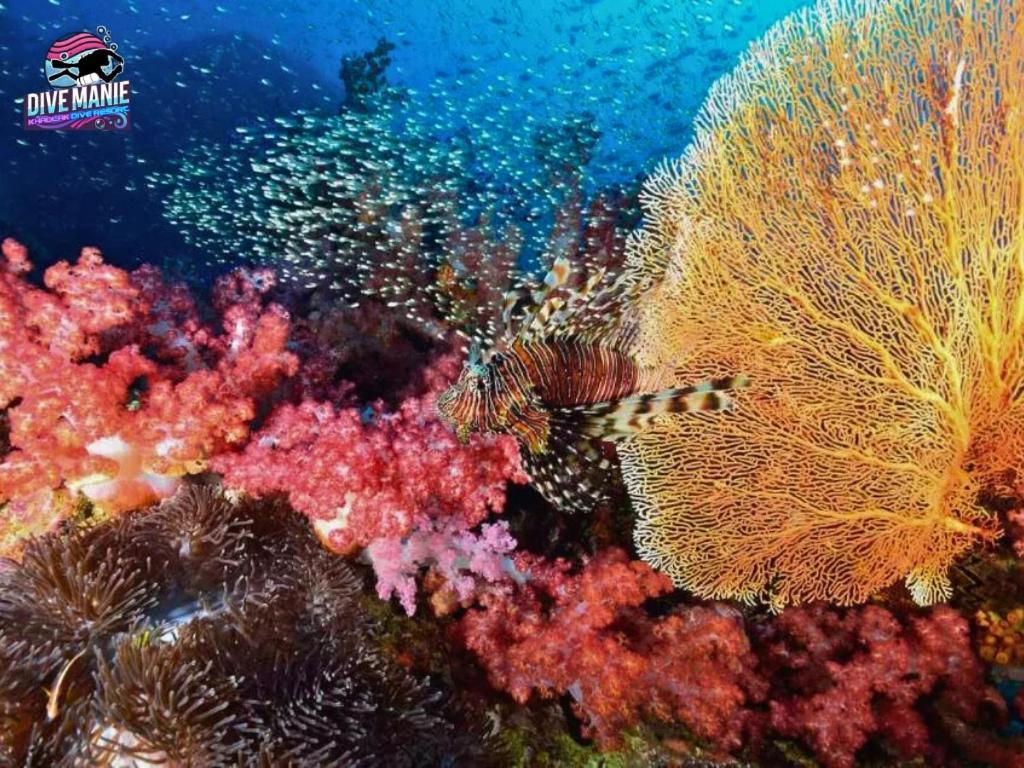 Khaolak Dive Resort Khao Lak Exteriér fotografie